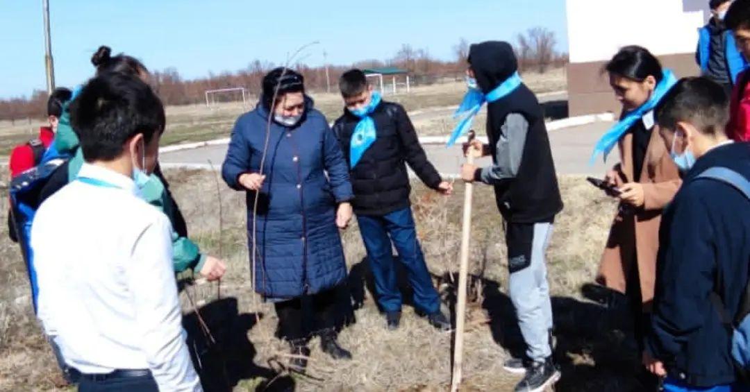 "Көгалдандыру" экологиялық акциясы